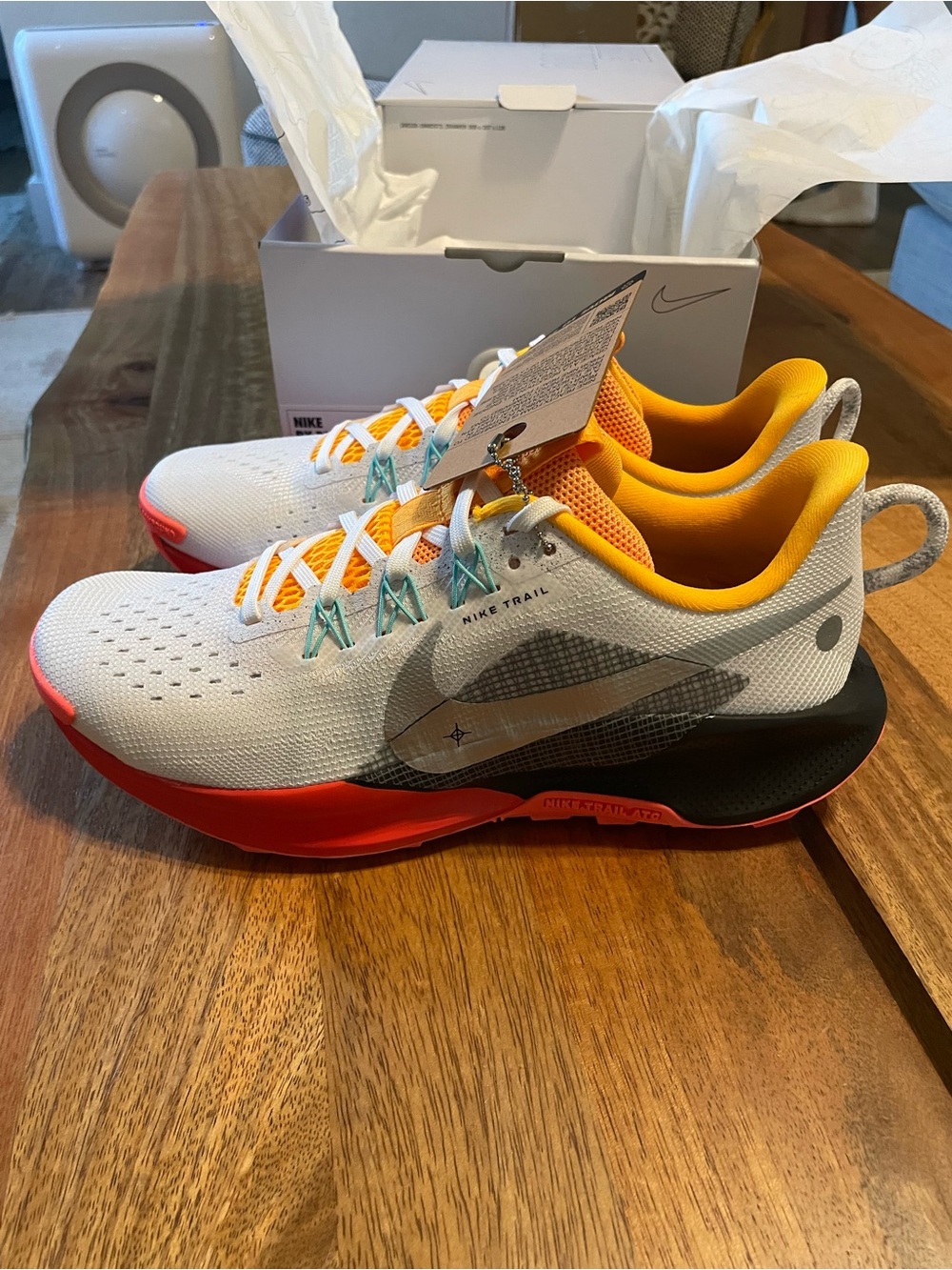 NWT Custom Nike Pegasus Trail Shoes